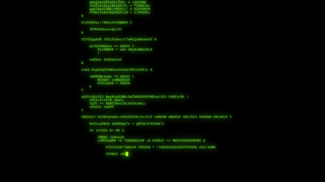 Green text appears with great speed on a black screen until some signal gives the command to stop work. Futuristic computer.