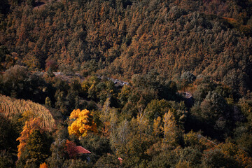 View of countryside hilly landscape in autumn colors.