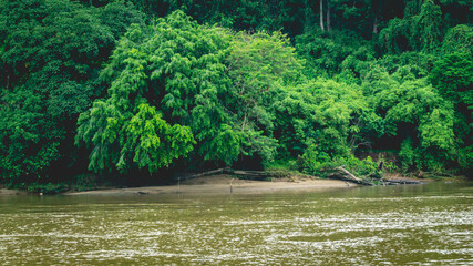 Beautiful landscape of Mahakam Ulu, tropical rainforest on the banks of Mahakam river