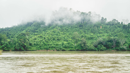 Beautiful landscape of Mahakam Ulu, tropical rainforest on the banks of Mahakam river - 461836440