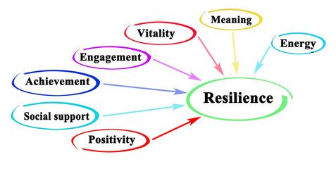 Seven drivers of resilience