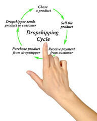 Five components of Dropshipping Process