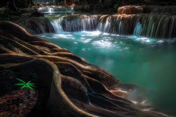 Erawan Waterfall at Kanchanaburi in Thailand during rainy season . A lot of water flows down through the layers of limestone with a large root of tree as foreground.