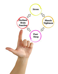 From stress to declining brain functions