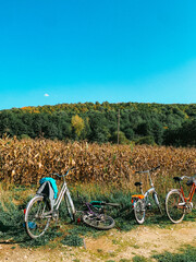 bicycles in the countryside