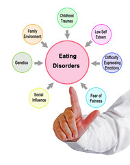 Seven causes of  Eating Disorders