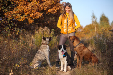 The girl is raising three dogs: Border Collie, Rhodesian Ridgeback and Hollandse herder