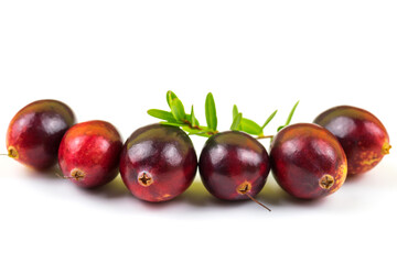 Cranberries isolated on white with green leaf, whole fresh red fall berry