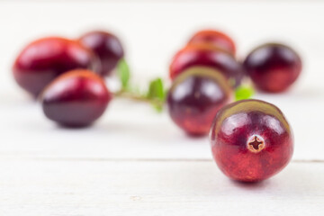 Cranberries on white wood with green leaf, whole fresh red fall berry