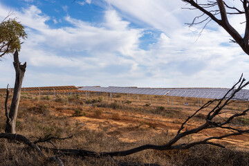 Solar panels in the desert in Victoria's Mallee region
