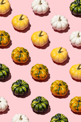 Pattern of Thanksgiving day or Halloween pumpkin on pink background. Autumn harvest abstract texture. Top view, flat lay.