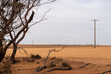 Powerlines fading off into the distance on the edge of a field in the desert.