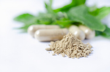 Closed up green Thai herb powder with blur capsule and green herb leaf on white background. For...