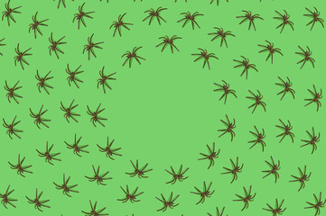 Pattern made of black spiders on a green background. Halloween scary nightmare concept. Copy space circle