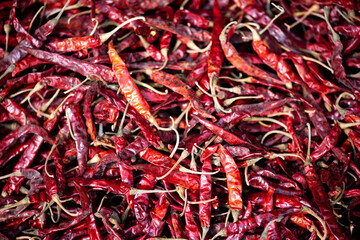 Dry red chili pepper as a background