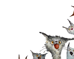 overlay cats, art cats, postcards, cats illustrations, frames