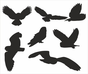 Vector set of silhouettes of owls. Flying and sitting nocturnal birds. Rodent Hunter Shadows
