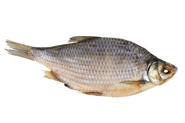 dry dried fish isolated on a white background