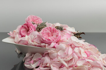 Petals and flowers of pink roses in a bowl on a uniform background in a romantic spirit suitable as a wish for a significant day, or the promotion of trade. 