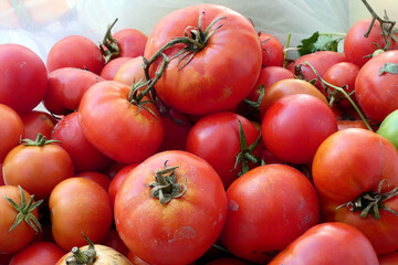 global warming and climate agreement, the production of vegetable products in the world is...