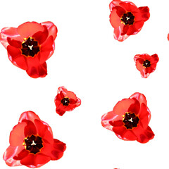 Red tulip on white background seamless pattern