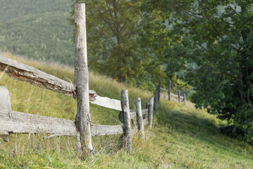 Old wooden fence and green grass outdoors