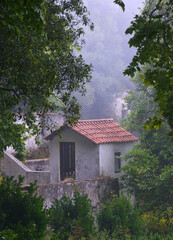 house in the forest