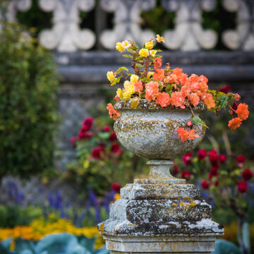 vasque fleurie dans une all&eacute;e d'un jardin ornemental, all&eacute;e dans un jardin &agrave; la fran&ccedil;aise, jardin topiaire