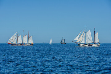 Fototapeta premium sailing boat in the sea