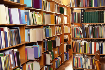 Collection of different books on shelves in library
