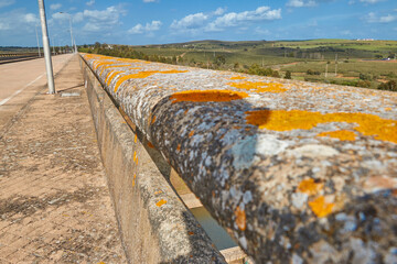 The railing of a bridge or dam colonized by moss