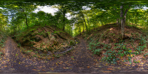 Wald 360° Panorama