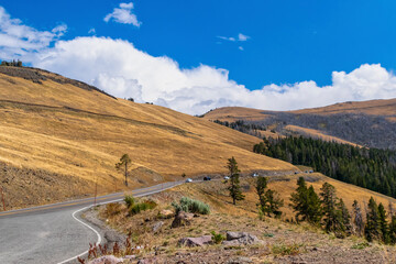 Obraz premium A Winding Mountain Road in Yellowstone National Park