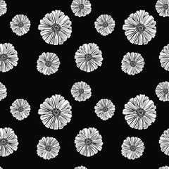 White daisies on a black background. Vector seamless pattern
