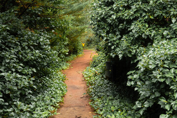 VUELTA ARNEDILLO LA RIOJA 