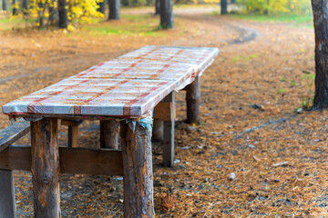 Tourist homemade table in the autumn forest