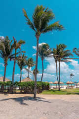 Fototapeta na wymiar Cancun, Mexico. May 30, 2021. Coconut trees on footpath leading towards beach with straw canopies on sand in front of beautiful sea