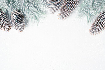 White Christmas background with frosted Christmas tree branches and fir cones