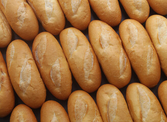 Many fresh wheat bread buns as background