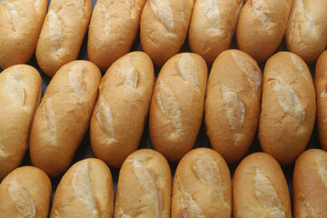 Many fresh wheat bread buns as background