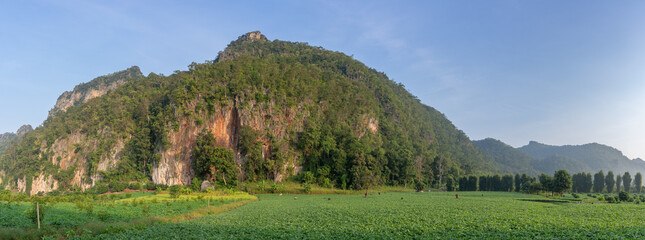Landscape panorama with beautiful karst mountain and peanut field in scenic agricultural valley...