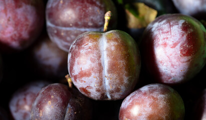Ripe plum as background. Fruit