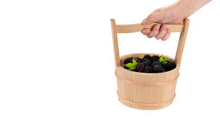 hand of a child holding little basket with blackberry.