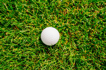 golf ball on the green grass. country club for golfers. 