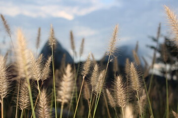 마이산, 암마이봉, 숫마이봉