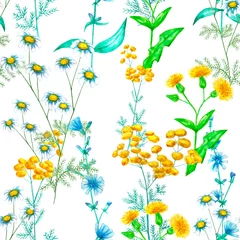 Behang Watercolor pattern with meadow flowers. Tansy, chicory, thistle, chamomile. Light background. © Ира Коркиайнен