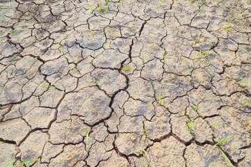 texture desert drought background abstract earth cracked warming global