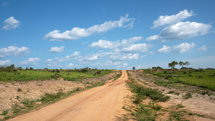 Murchison Falls National Park, Uganda