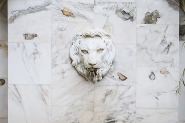 A marble wall with a lion's head and a stream of water flowing out of the mouth. Park fountain.