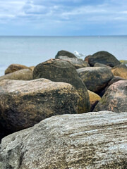 A gull on rocks at the sea